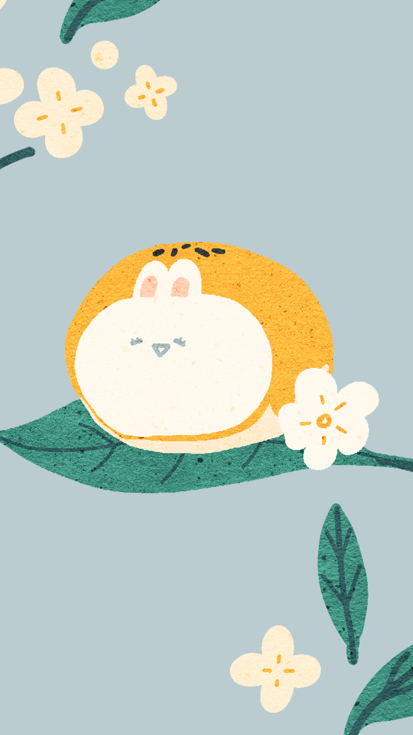 ios14小组件图片大合集附桌面整理教程